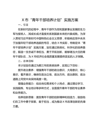 X市“青年干部培养计划”实施方案