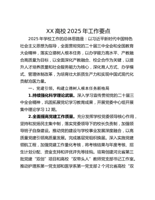 XX高校2025年工作要点