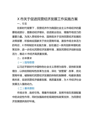 X市关于促进民营经济发展工作实施方案