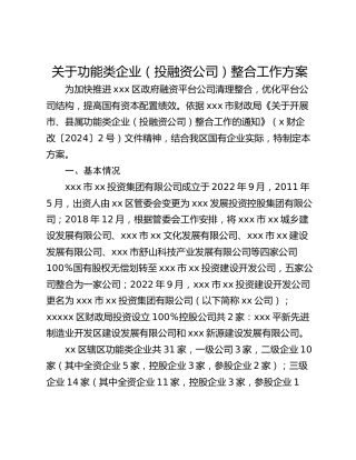 关于功能类企业（投融资公司）整合工作方案