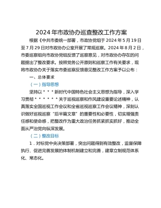 2024年市政协办巡查整改工作方案