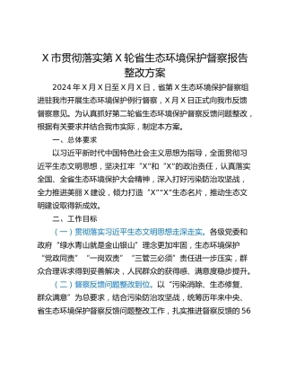 X市贯彻落实第X轮省生态环境保护督察报告整改方案