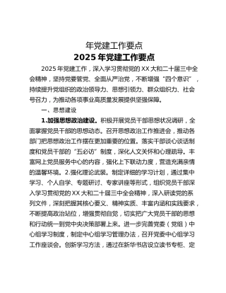 年党建工作要点
