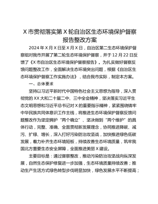 X市贯彻落实第X轮自治区生态环境保护督察报告整改方案