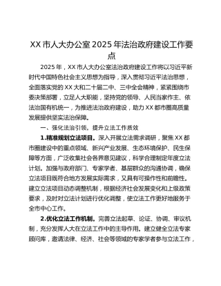 XX市人大办公室2025年法治政府建设工作要点