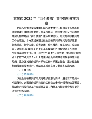 某某市2025年“两个覆盖”集中攻坚实施方案