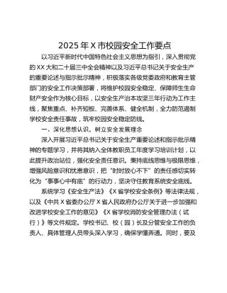 2025年X市校园安全工作要点