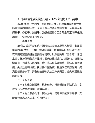 X市综合行政执法局2025年度工作要点