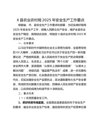 X县农业农村局2025年安全生产工作要点