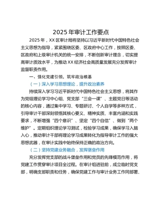 2025年审计工作要点