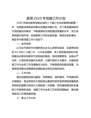 某局2025年党建工作计划_1