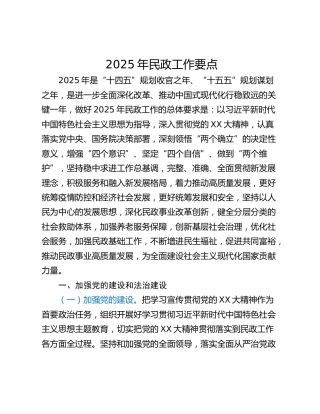 2025年民政工作要点