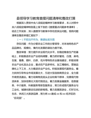 县领导学习教育查摆问题清单和整改打算