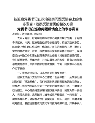 被巡察党委书记在政治巡察问题反馈会上的表态发言巡察反馈意见的整改方案