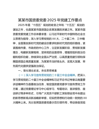 某某市国资委党委2025年党建工作要点