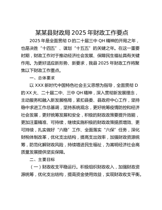 某某县财政局2025年财政工作要点