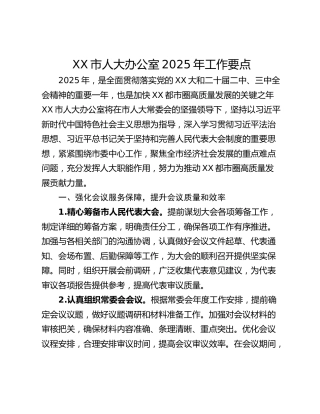 XX市人大办公室2025年工作要点