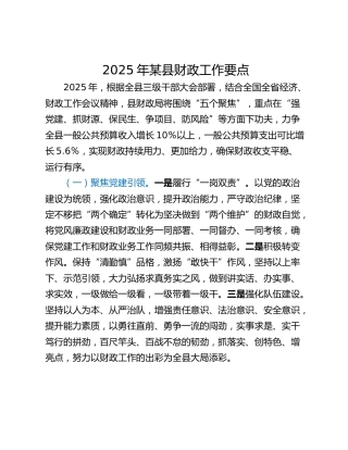 2025年某县财政工作要点