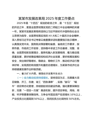 某某市发展改革局2025年度工作要点
