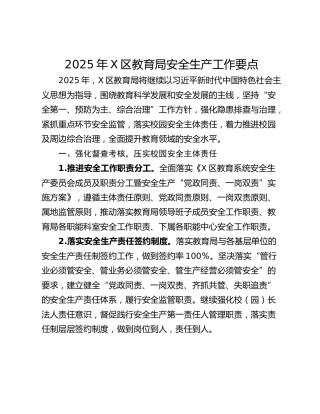 2025年X区教育局安全生产工作要点