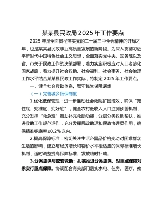 某某县民政局2025年工作要点