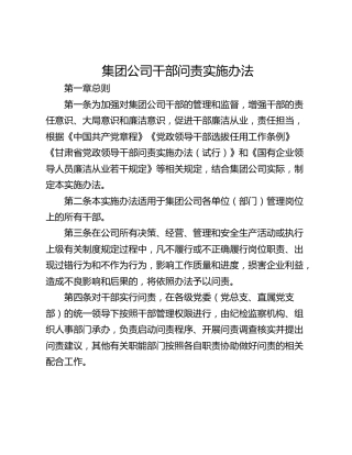 集团公司干部问责实施办法