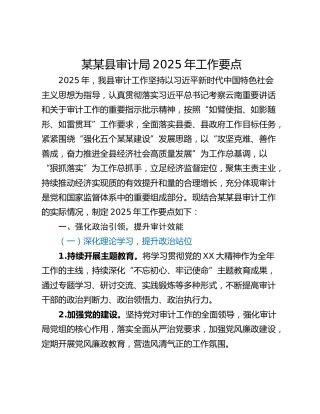 某某县审计局2025年工作要点