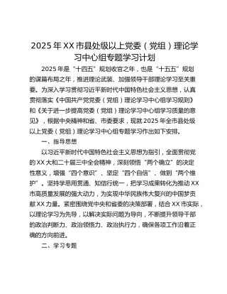 2025年XX市县处级以上党委（党组）理论学习中心组专题学习计划