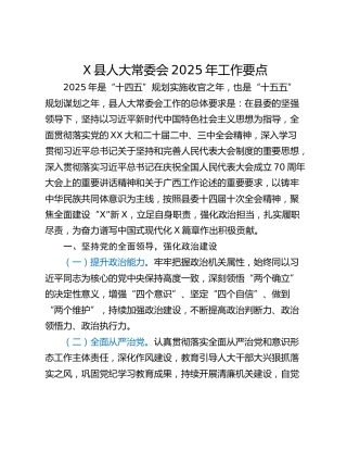 X县人大常委会2025年工作要点