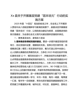 Xx县关于开展基层党建“固本培元”行动的实施方案