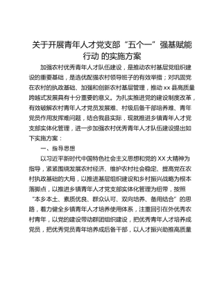 关于开展青年人才党支部“五个一”强基赋能行动 的实施方案