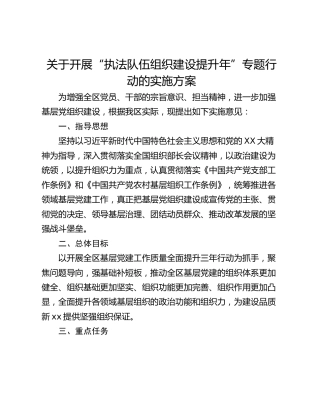 关于开展“执法队伍组织建设提升年”专题行动的实施方案
