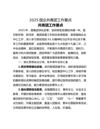 2025国企共青团工作要点