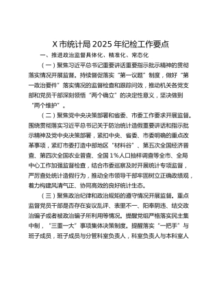 X市统计局2025年纪检工作要点