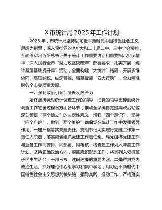 X市统计局2025年工作计划