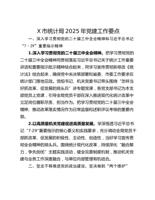 X市统计局2025年党建工作要点