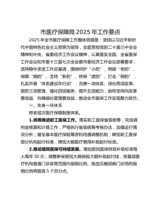 市医疗保障局2025年工作要点