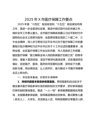2025年X市医疗保障工作要点
