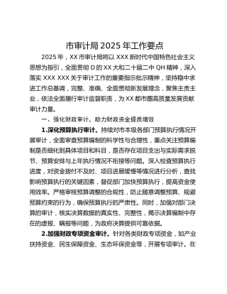 市审计局2025年工作要点