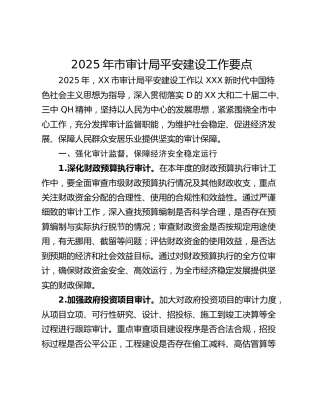2025年市审计局平安建设工作要点