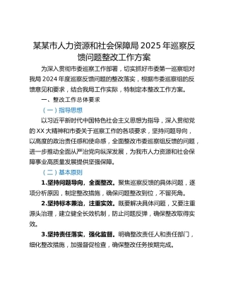 某某市人力资源和社会保障局2025年巡察反馈问题整改工作方案