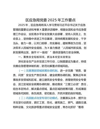 区应急局党委2025年工作要点