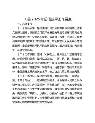X县2025年防汛抗旱工作要点