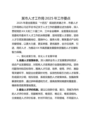 某市人才工作局2025年工作要点