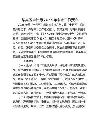 某某区审计局2025年审计工作要点