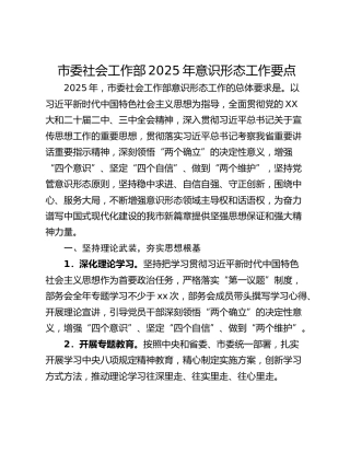 市委社会工作部2025年意识形态工作要点