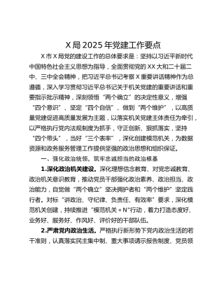 X局2025年党建工作要点