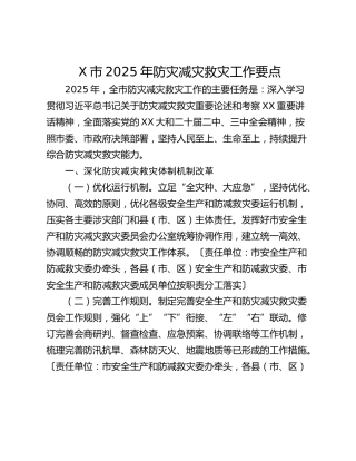 X市2025年防灾减灾救灾工作要点
