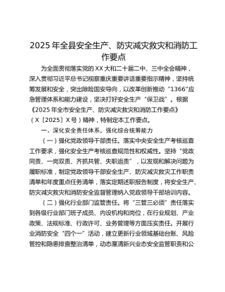 2025年全县安全生产、防灾减灾救灾和消防工作要点