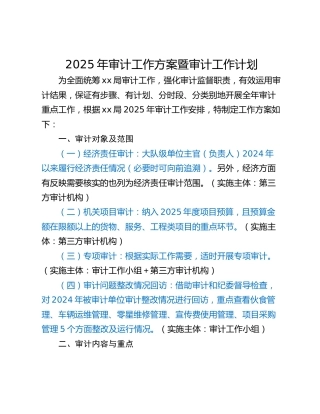 2025年审计工作方案暨审计工作计划